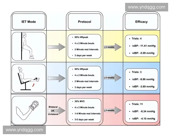运动调节带的作用与应用探究：提升运动表现与预防伤害的关键工具