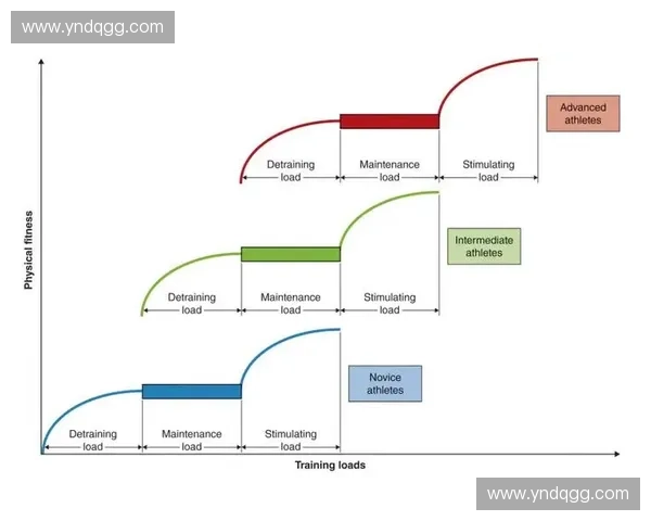 基于训练负荷的运动表现优化与恢复策略研究